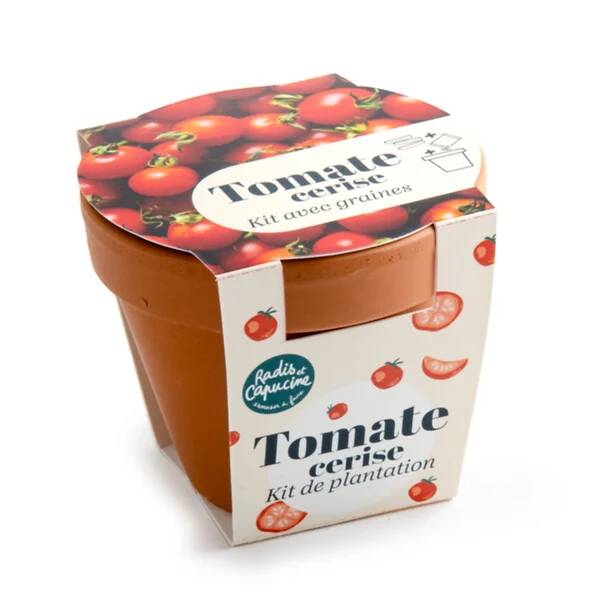 Radis et Capucine - Pot Terre cuite Antique - Tomate cerise - Bio - Radis et Capucine - Image 2