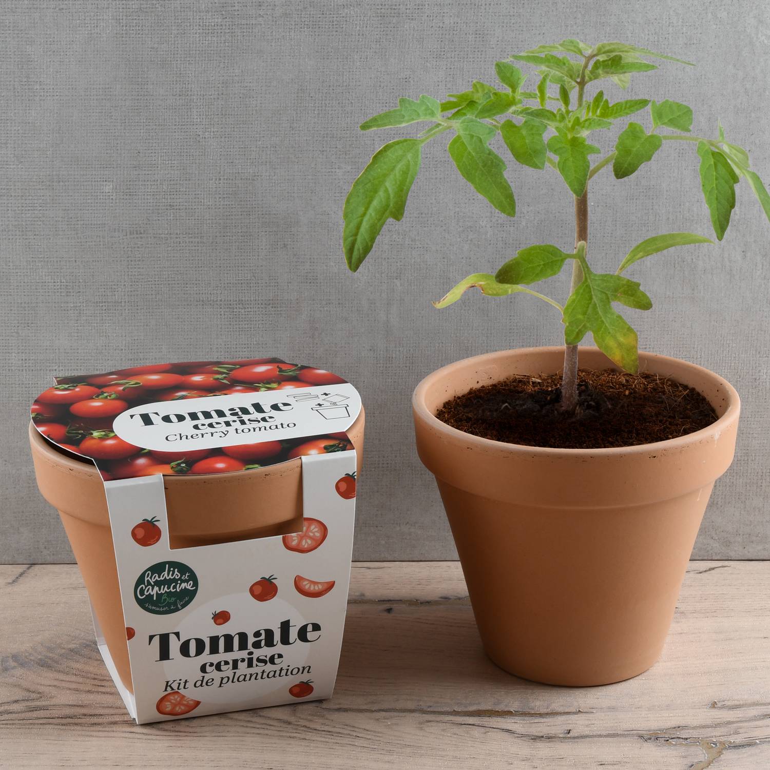 Radis et Capucine - Pot Terre cuite Antique - Tomate cerise - Bio - Radis et Capucine - Image 4