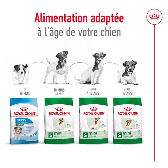 Royal Canin - Royal Canin - Croquettes pour chien Mini Adult - 4 kg - Image 8