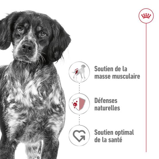 Royal Canin - Croquettes pour chien Medium Adulte 15 kg + 3 kg - Image 10