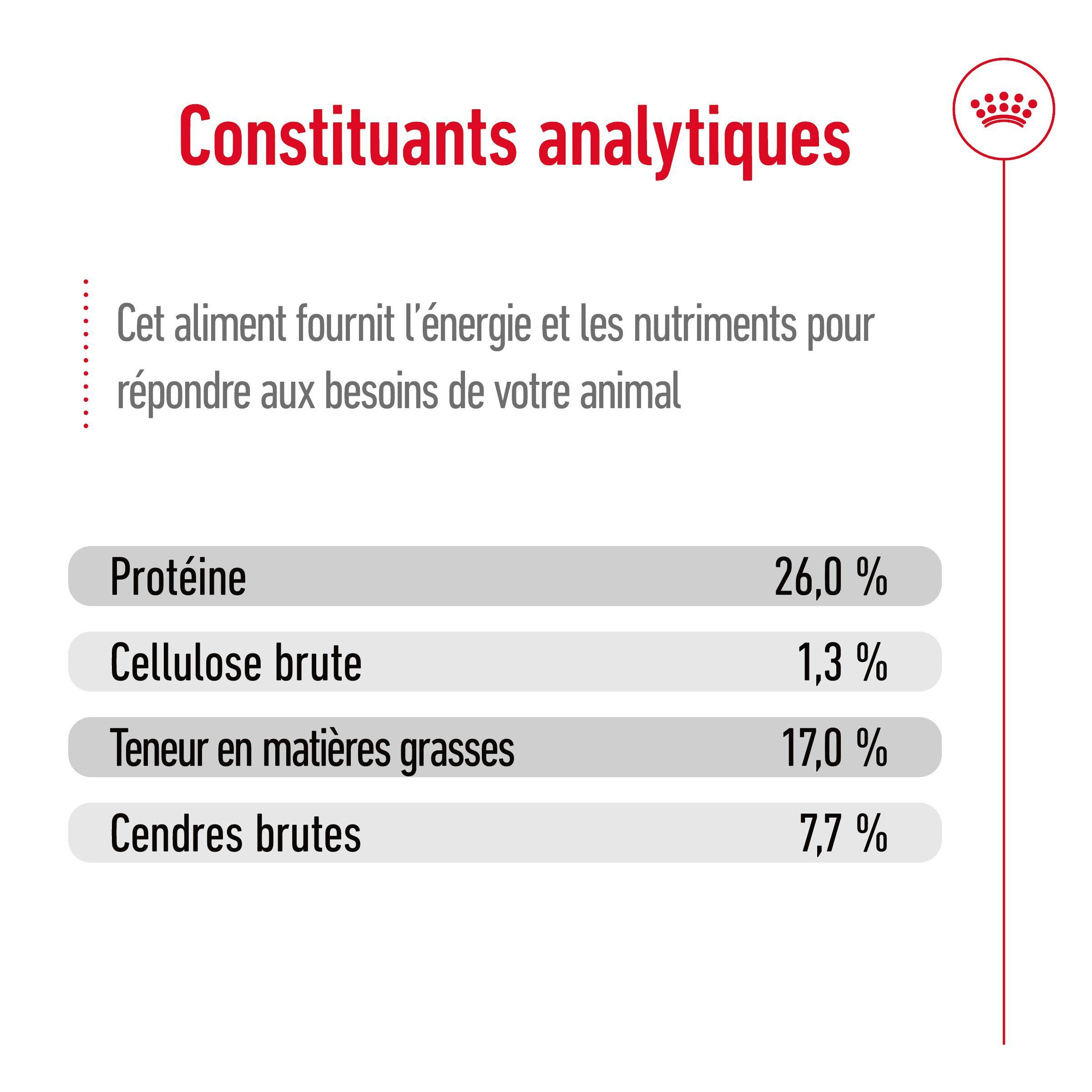 Royal Canin - Croquettes "Maxi Adult" - Royal Canin® - Imagen 10