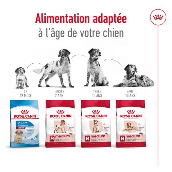 Royal Canin - Croquettes Chien Medium Adult - ROYAL CANIN - Image 6