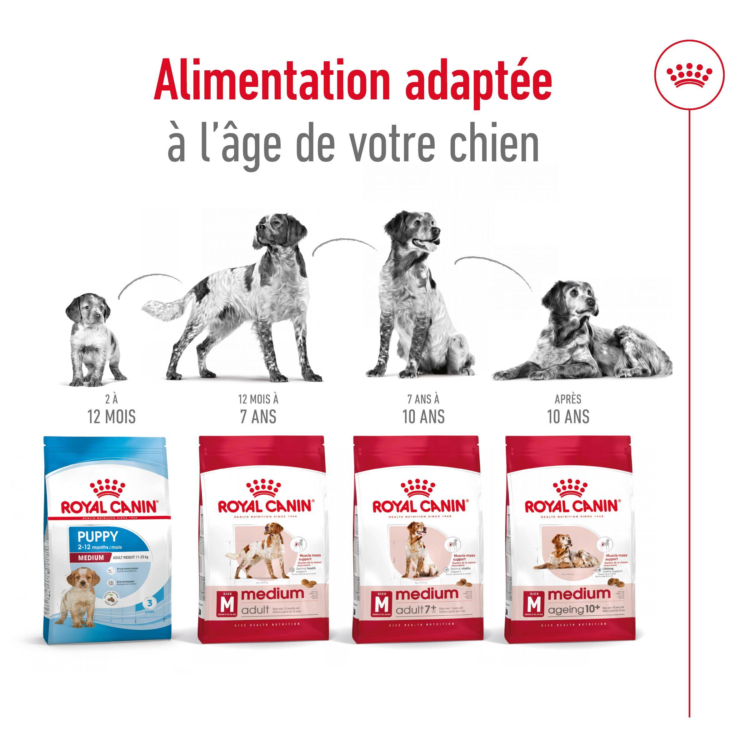 Royal Canin - Croquettes Chien Medium Adult - ROYAL CANIN - Image 6