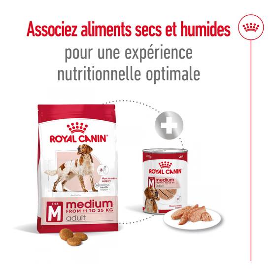 Royal Canin - Croquettes Chien Medium Adult - ROYAL CANIN - Image 8
