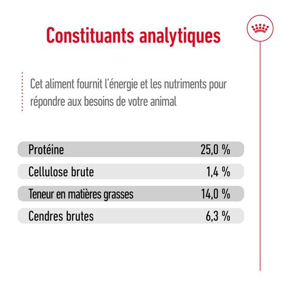 Royal Canin - Croquettes Chien Medium Adult - ROYAL CANIN - Image 11