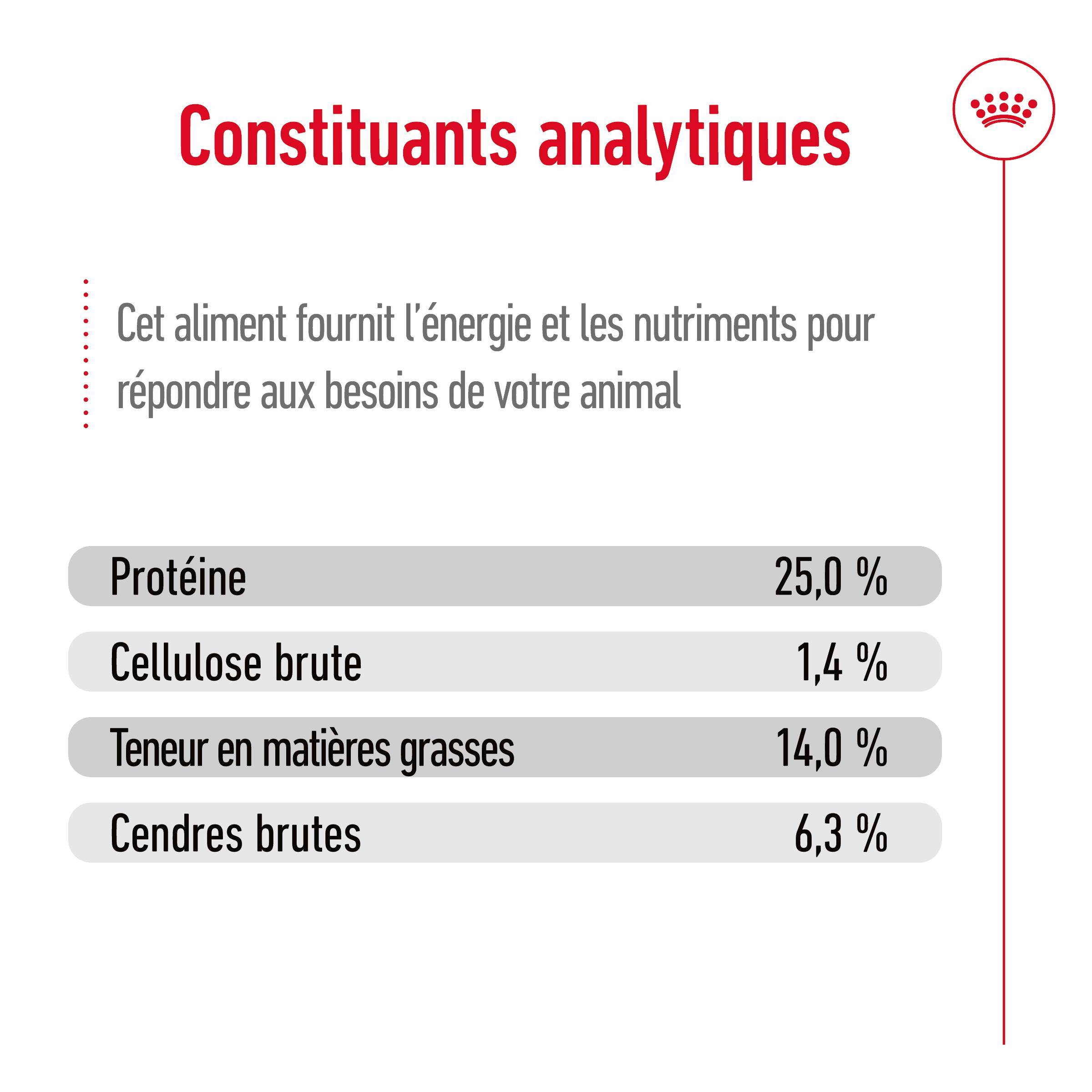 Royal Canin - Croquettes Chien Medium Adult - ROYAL CANIN - Image 11