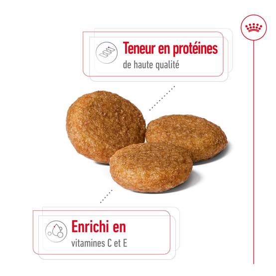 Royal Canin - Croquettes Chien Medium Adult - ROYAL CANIN - Image 2
