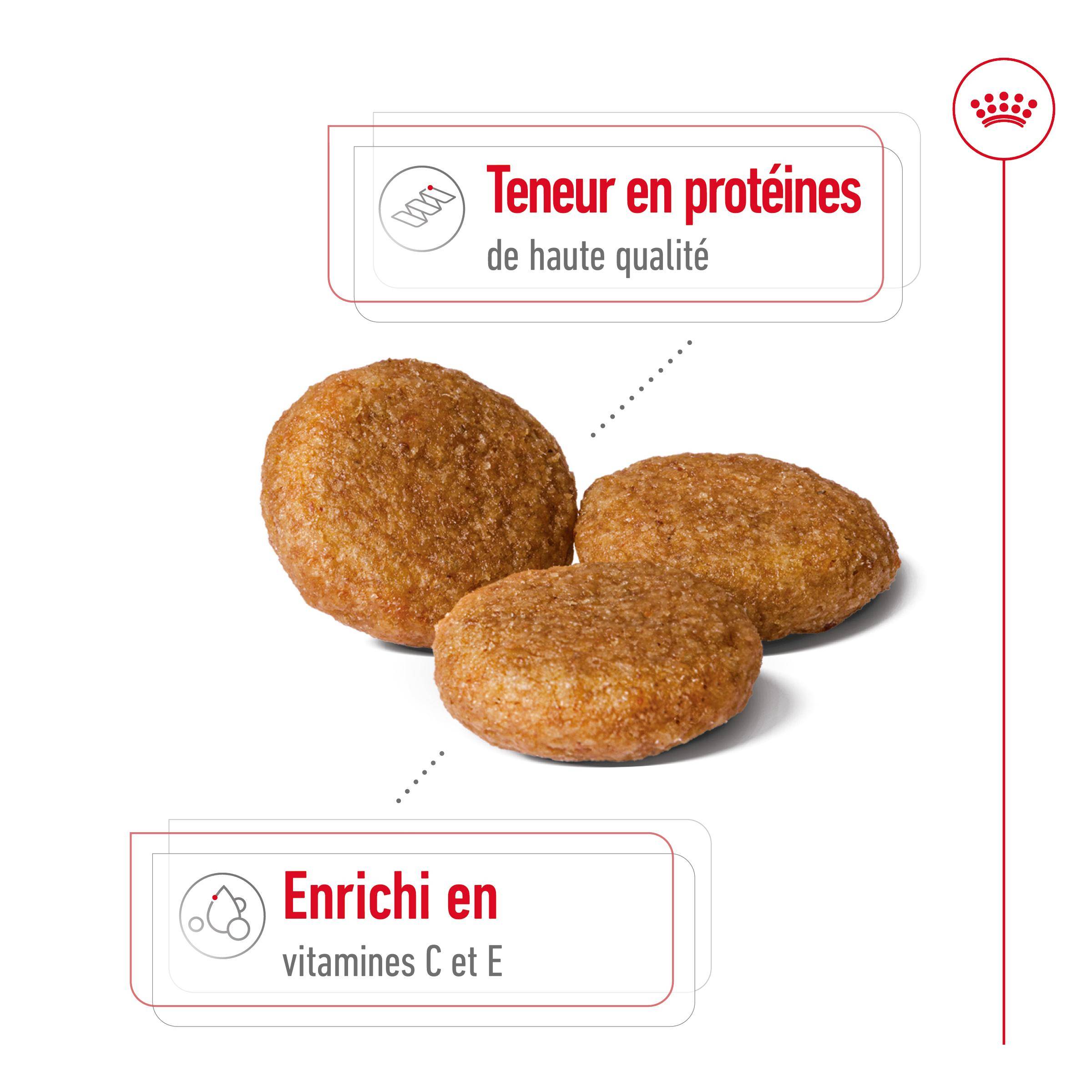 Royal Canin - Croquettes Chien Medium Adult - ROYAL CANIN - Image 2