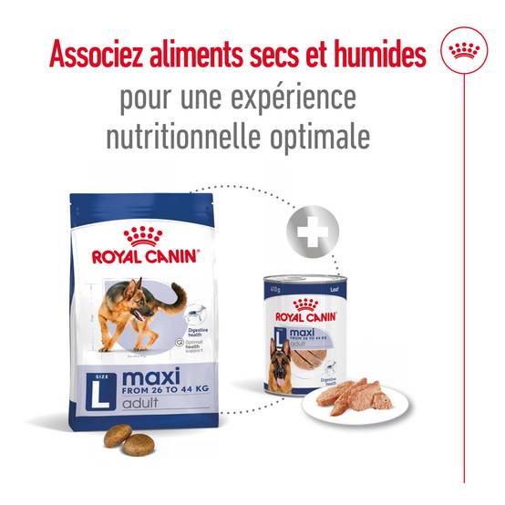 Royal Canin - Croquettes Maxi Adult - ROYAL CANIN - Image 10