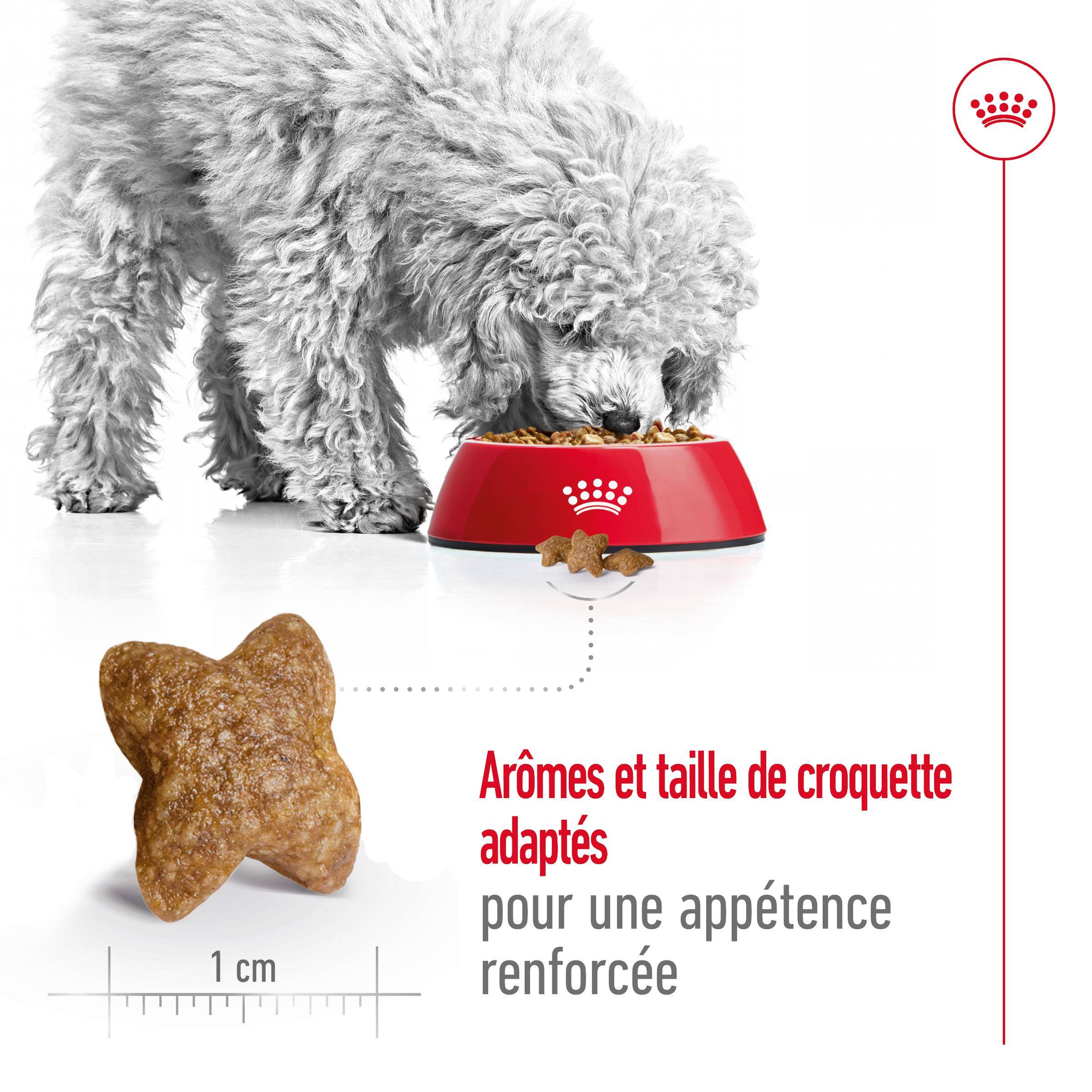 Aliment Chien Croquettes Poulet 800 g – ROYAL CANIN - Image 7