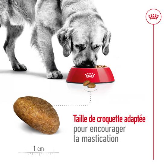 Royal Canin - Croquettes pour chien Maxi Adulte 15 kg + 3 kg - ROYAL CANIN - Image 7