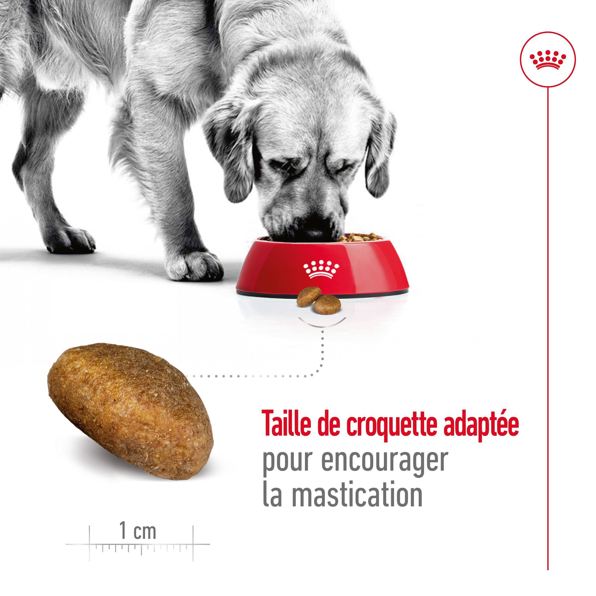 Royal Canin - Croquettes pour chien Maxi Adulte 15 kg + 3 kg - ROYAL CANIN - Image 7