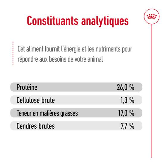 Royal Canin - Croquettes pour chien Maxi Adulte 15 kg + 3 kg - ROYAL CANIN - Image 10