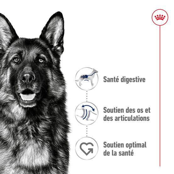 Royal Canin - Croquettes pour chien Maxi Adulte 15 kg + 3 kg - ROYAL CANIN - Image 8