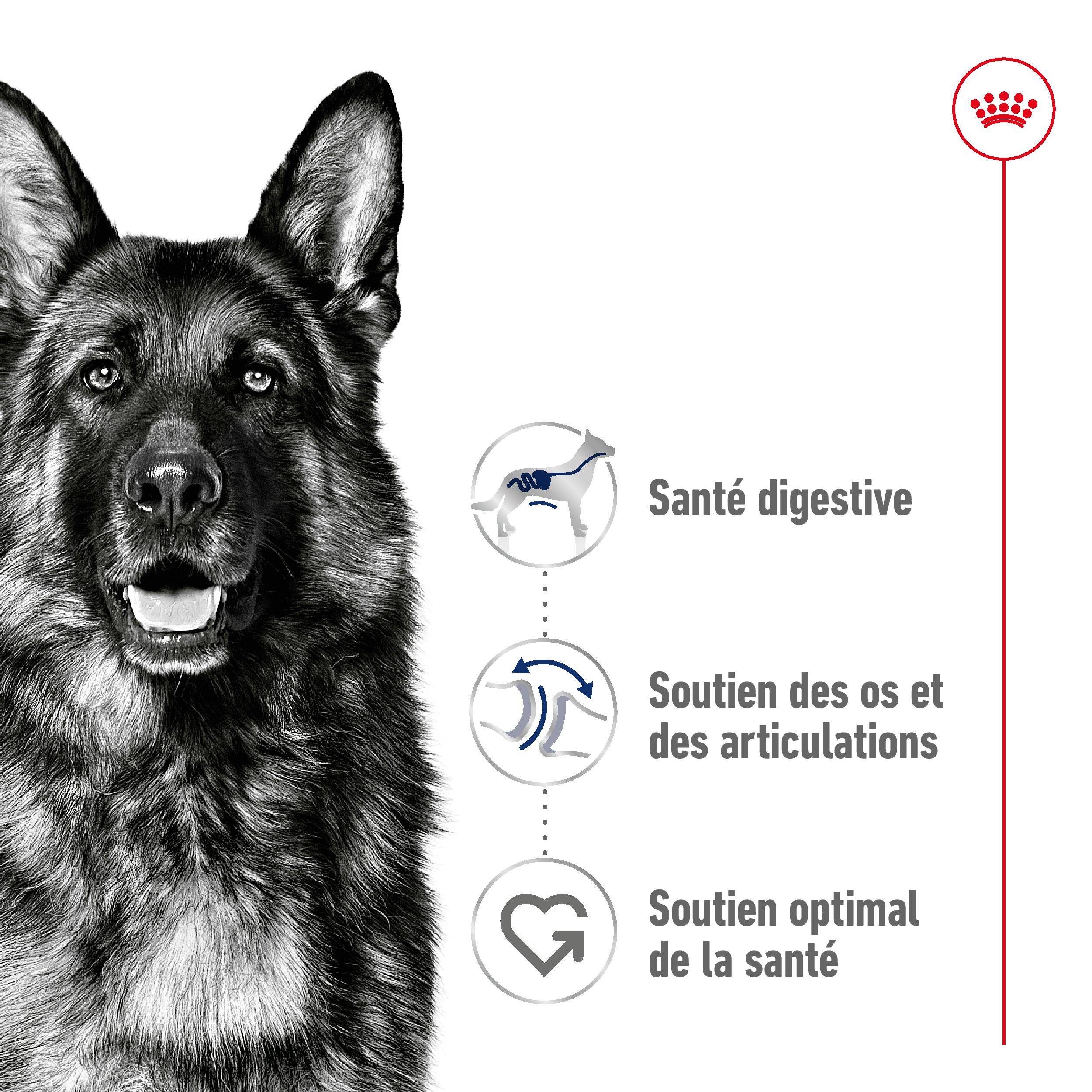 Royal Canin - Croquettes pour chien Maxi Adulte 15 kg + 3 kg - ROYAL CANIN - Image 8