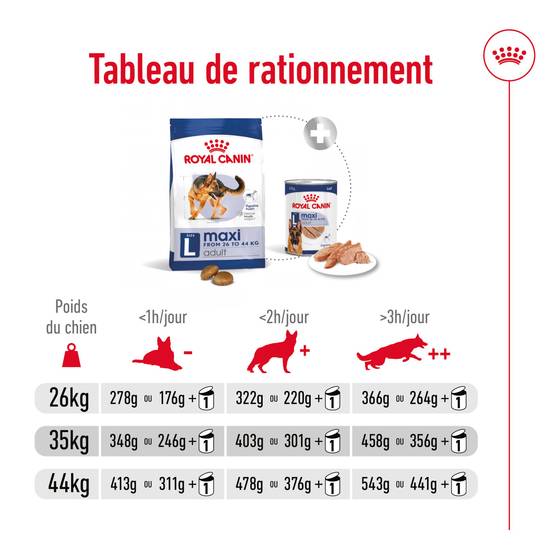 Royal Canin - Croquettes pour chien Maxi Adulte 15 kg + 3 kg - ROYAL CANIN - Image 2