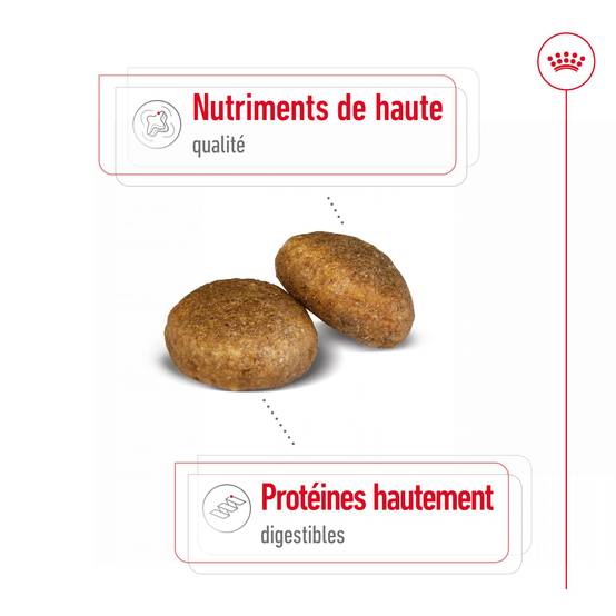 Royal Canin - Croquettes pour chien Maxi Adulte 15 kg + 3 kg - ROYAL CANIN - Image 11