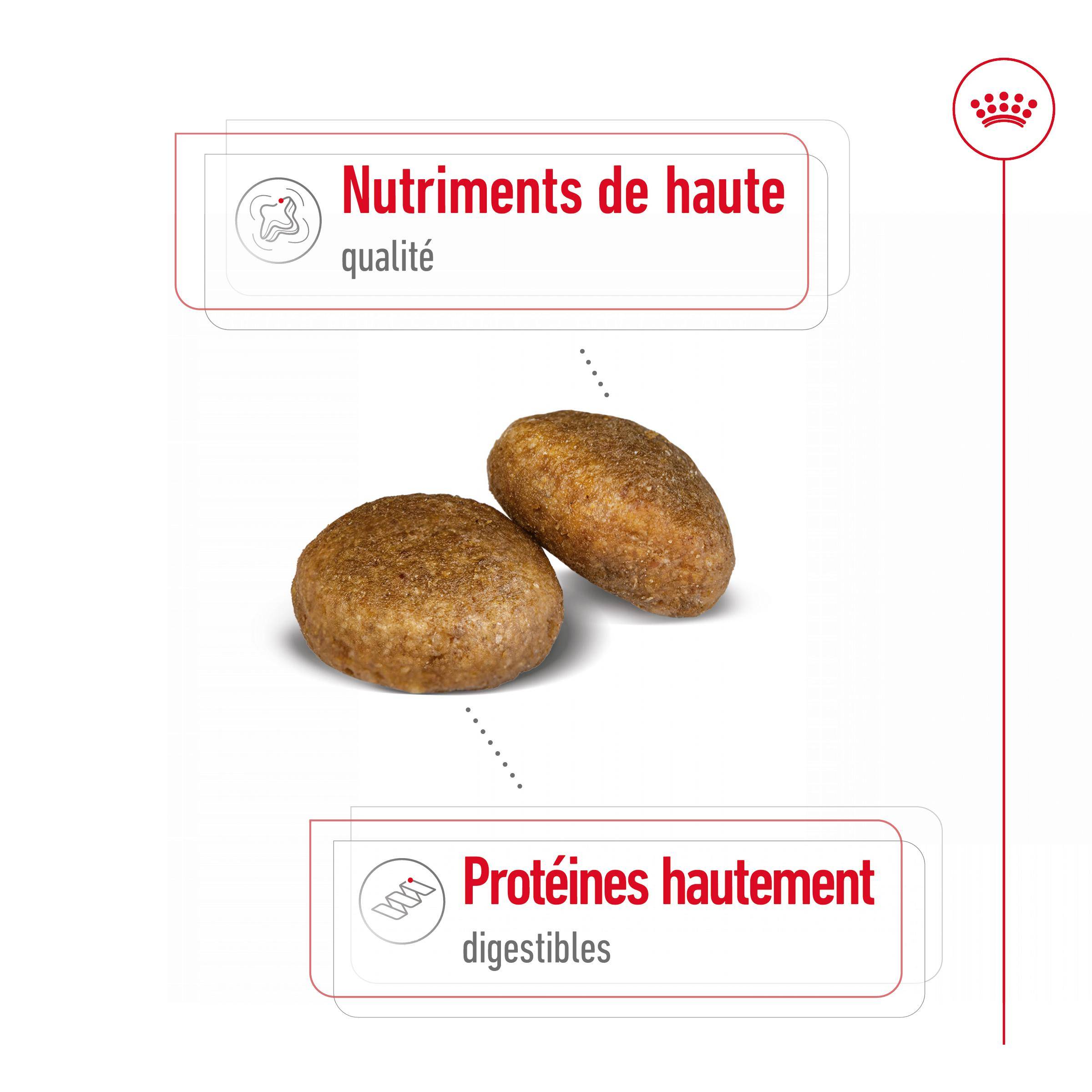 Royal Canin - Croquettes pour chien Maxi Adulte 15 kg + 3 kg - ROYAL CANIN - Image 11