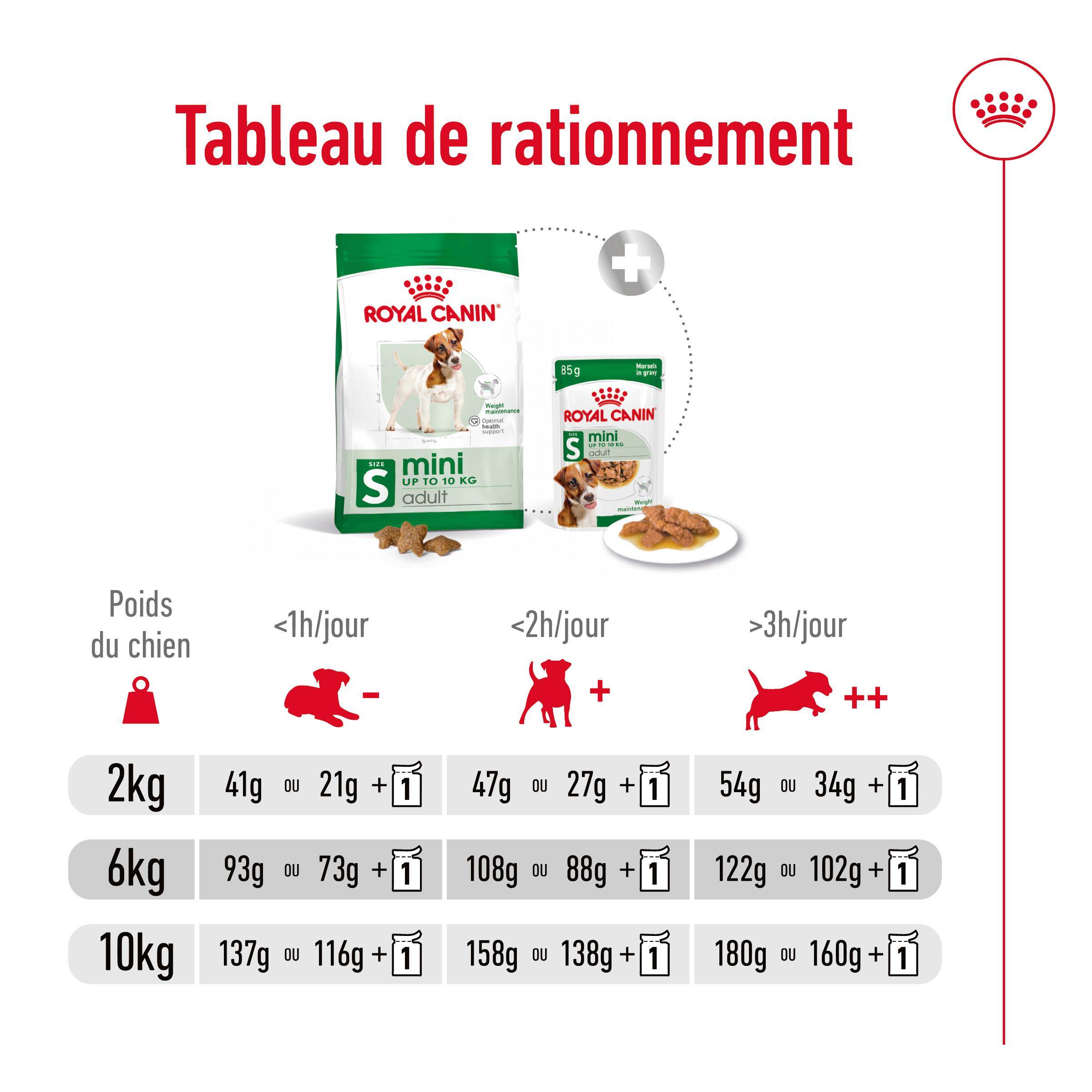 Royal Canin - Croquettes pour chien Mini Adult - ROYAL CANIN - Image 8