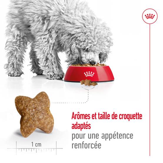 Royal Canin - Croquettes pour chien Mini Adult - ROYAL CANIN - Image 12