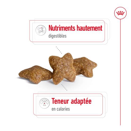 Royal Canin - Croquettes pour chien Mini Adult - ROYAL CANIN - Image 7