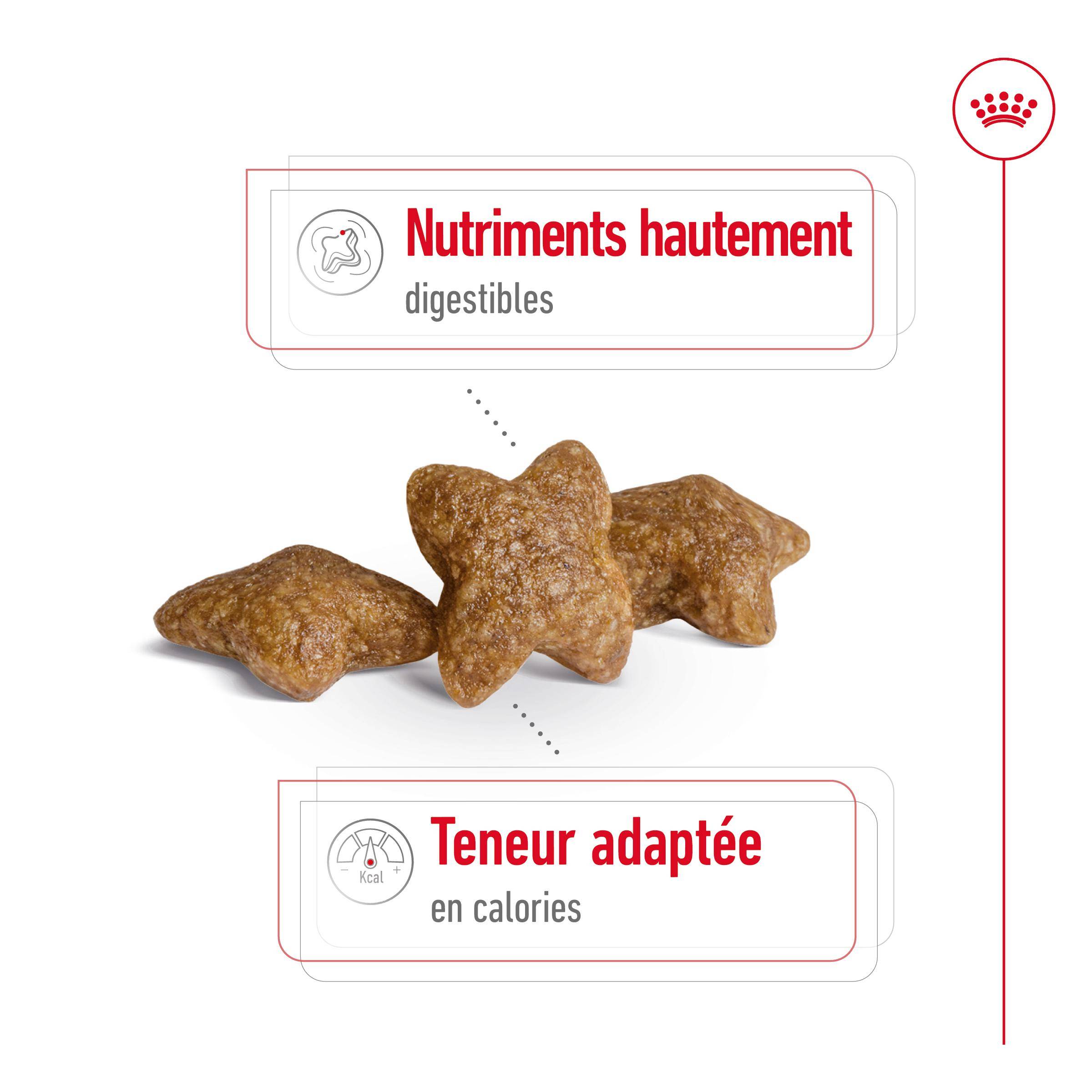 Royal Canin - Croquettes pour chien Mini Adult - ROYAL CANIN - Image 7