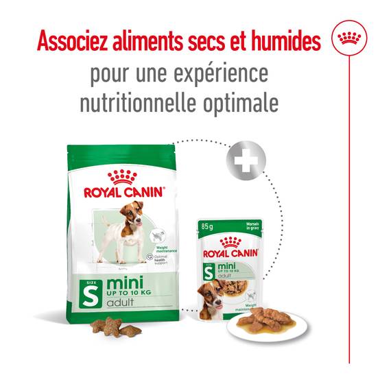 Royal Canin - Croquettes pour chien Mini Adult - ROYAL CANIN - Image 3