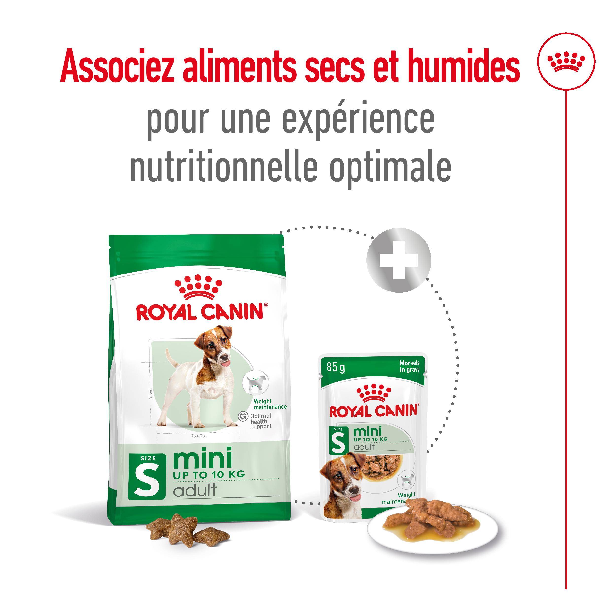 Royal Canin - Croquettes pour chien Mini Adult - ROYAL CANIN - Image 3