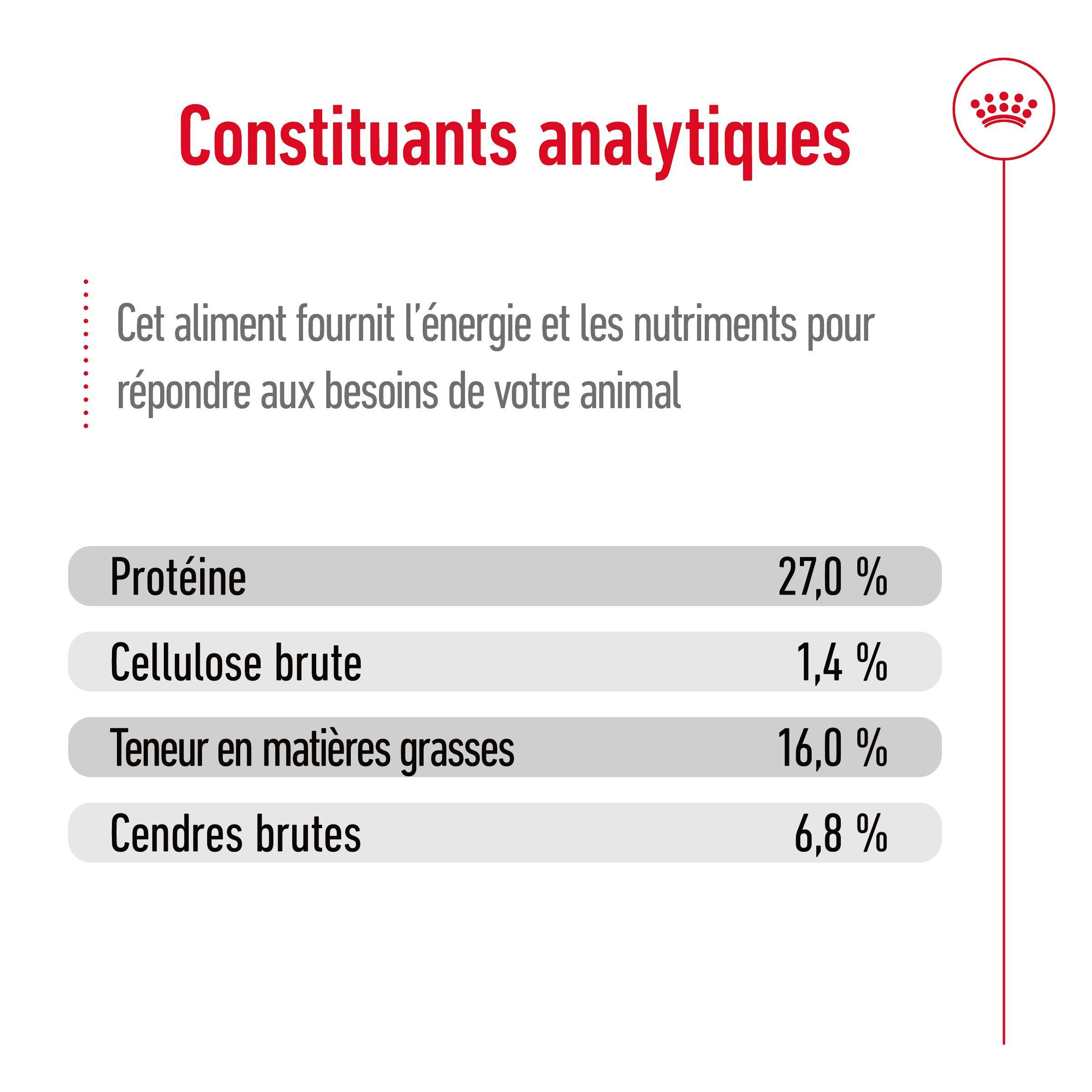 Royal Canin - Croquettes pour chien Mini Adult - ROYAL CANIN - Image 6