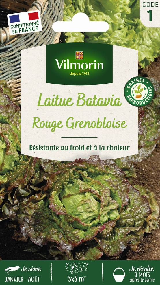 Vilmorin - Laitue batavia rouge grenobloise série 1 sachet graines 4 g - Vilmorin - Image 1