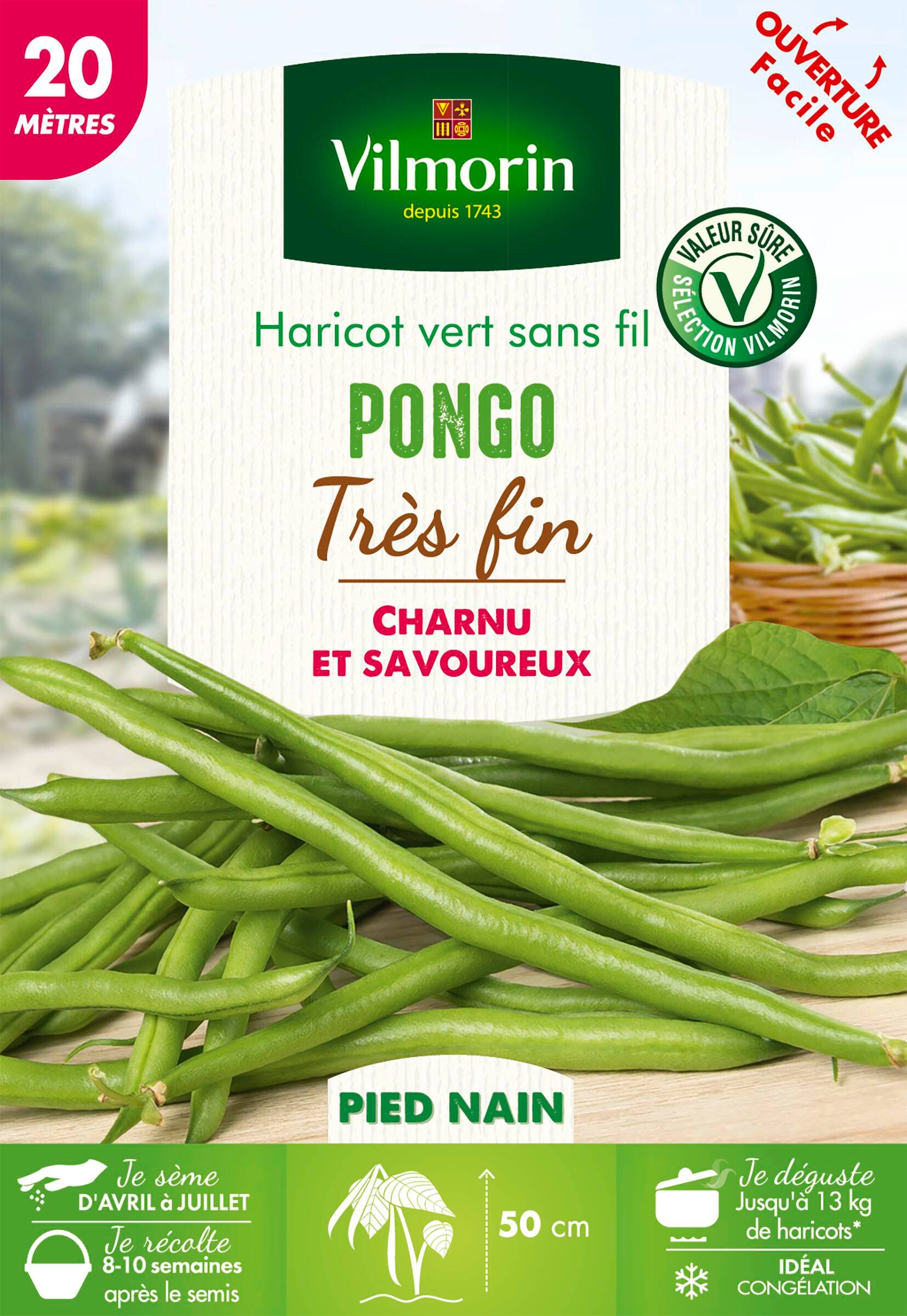Vilmorin - Haricot Pongo serie 20M boîte graines 123g - VILMORIN