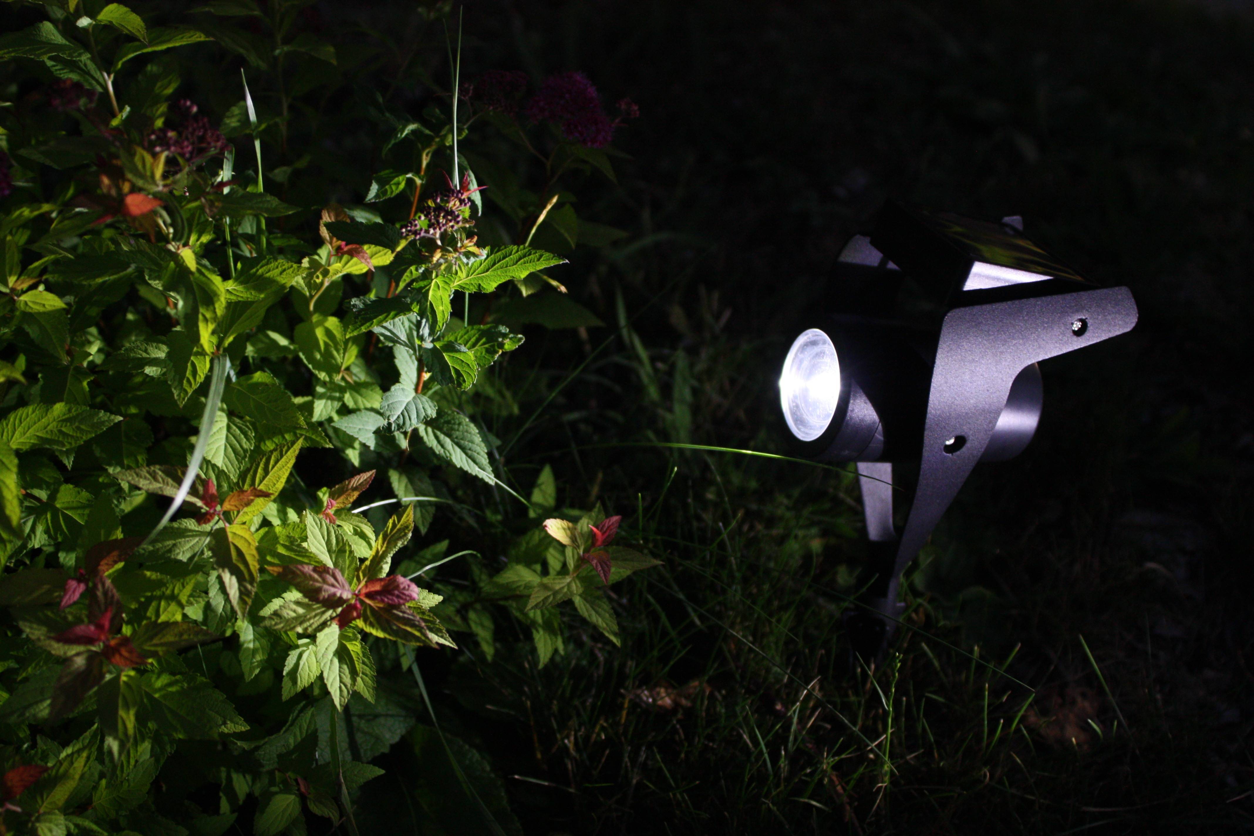 Ecloz - Spot à planter alu noir 150 lumens - ECLOZ - Imagen 1