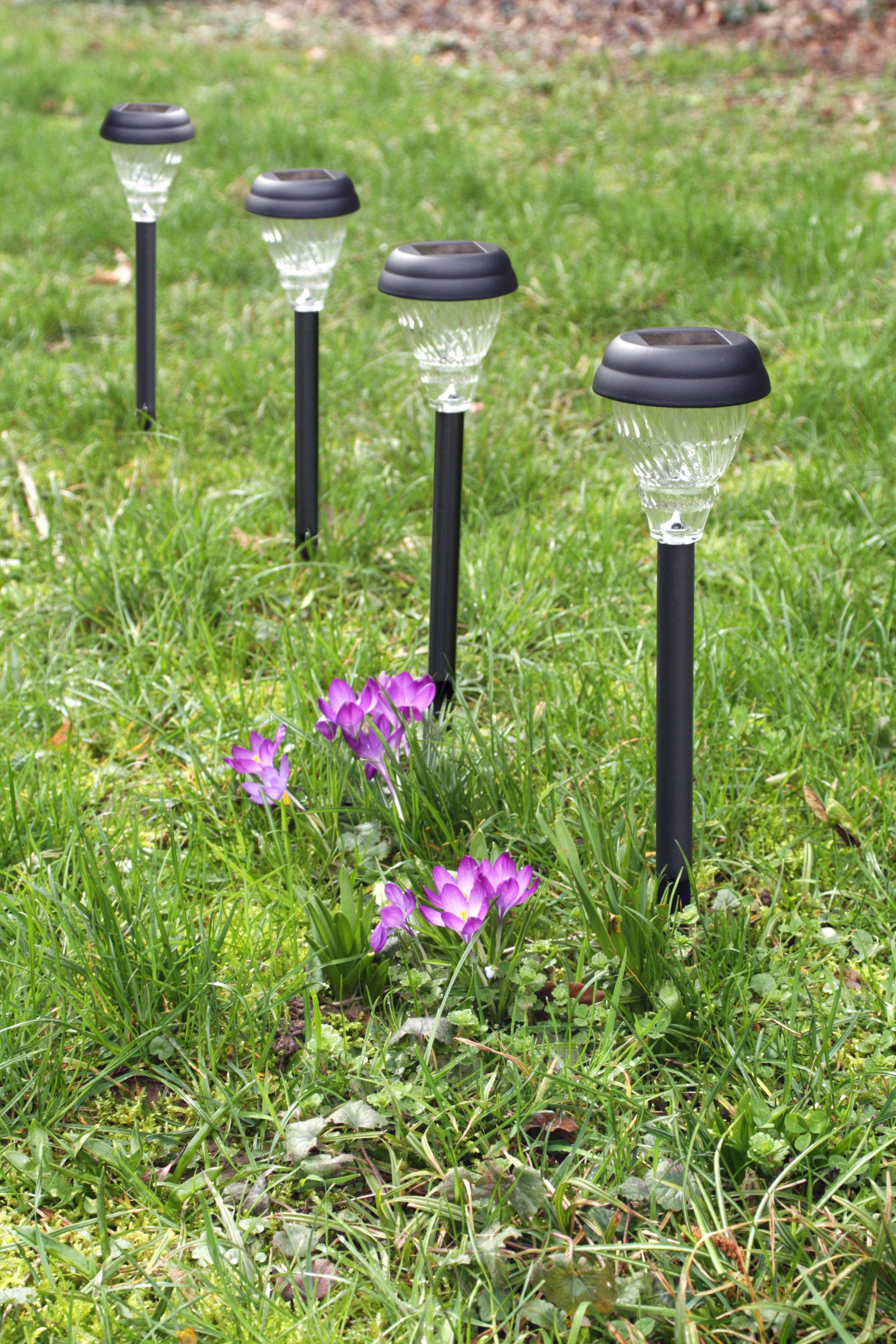 Ecloz - Baliza solar plástico vidrio ribete 3 lúmenes - ECLOZ - Imagen 1