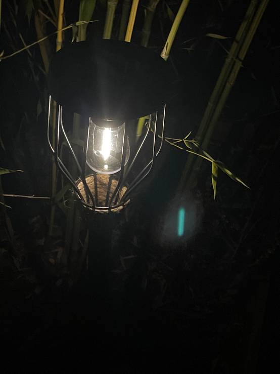 Ecloz - Balise solaire ampoule acier corde 10 lumens - ECLOZ - Image 3