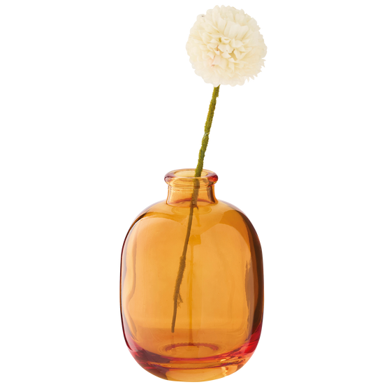 Ecloz - Soliflore transparent marron - ECLOZ - Image 2