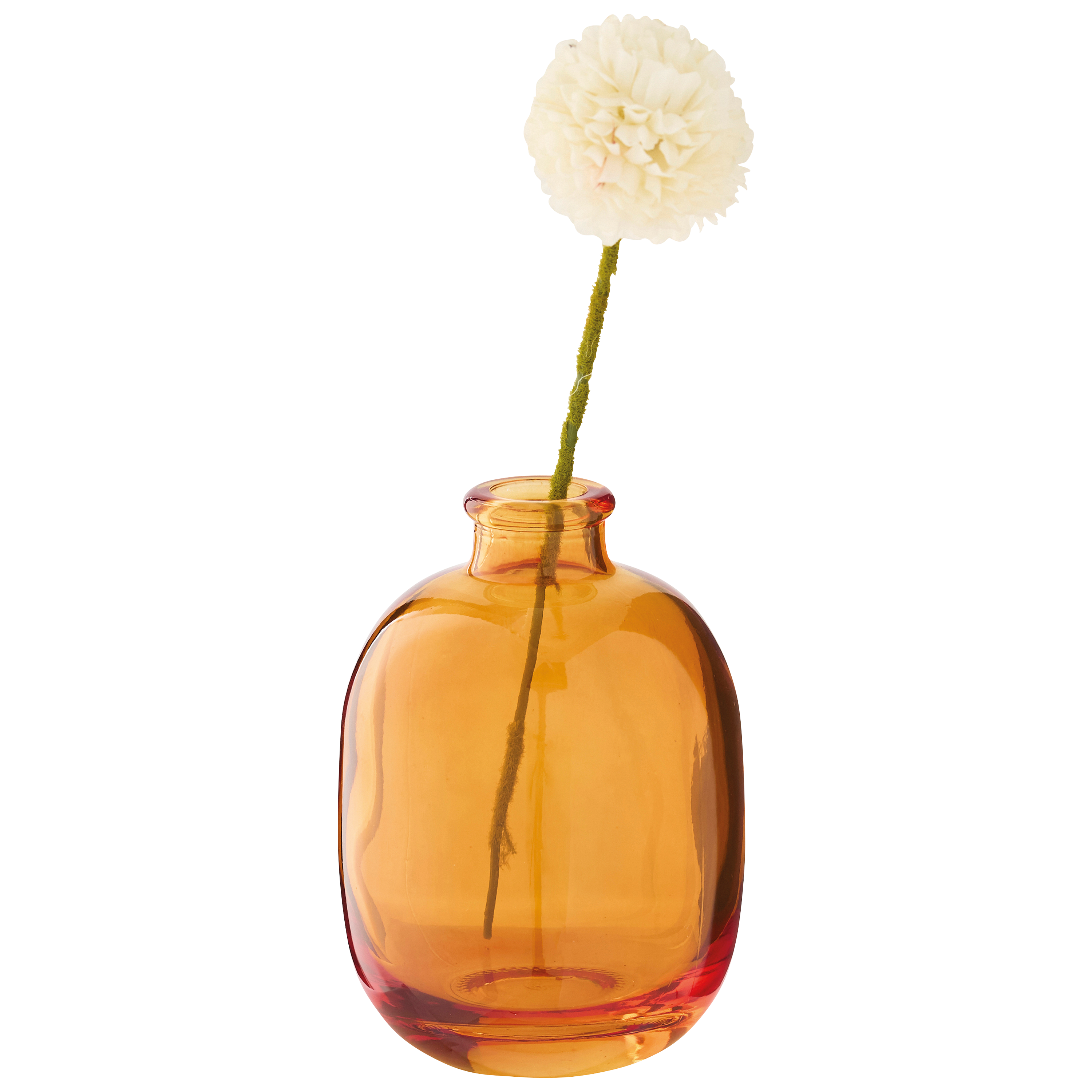 Ecloz - Soliflore transparent marron - ECLOZ - Image 2