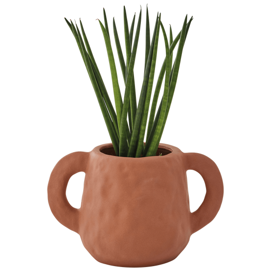 Ecloz - Pot en grès terracotta - ECLOZ - Image 6
