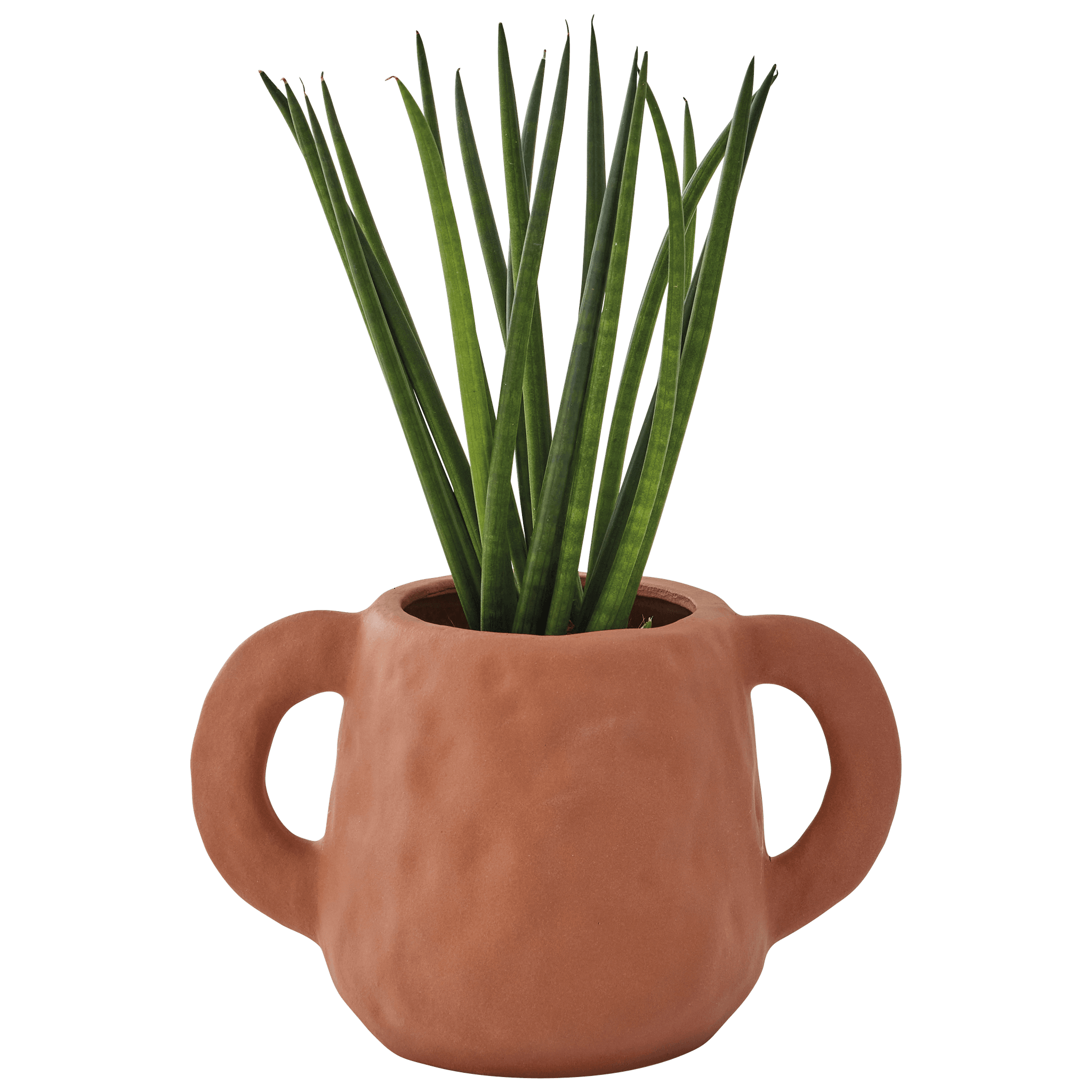 Ecloz - Pot en grès terracotta - ECLOZ - Imagen 6