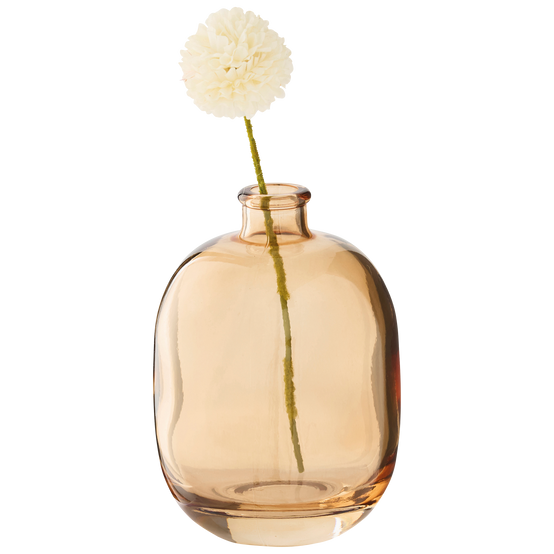 Ecloz - Soliflore transparent beige - ECLOZ - Image 4
