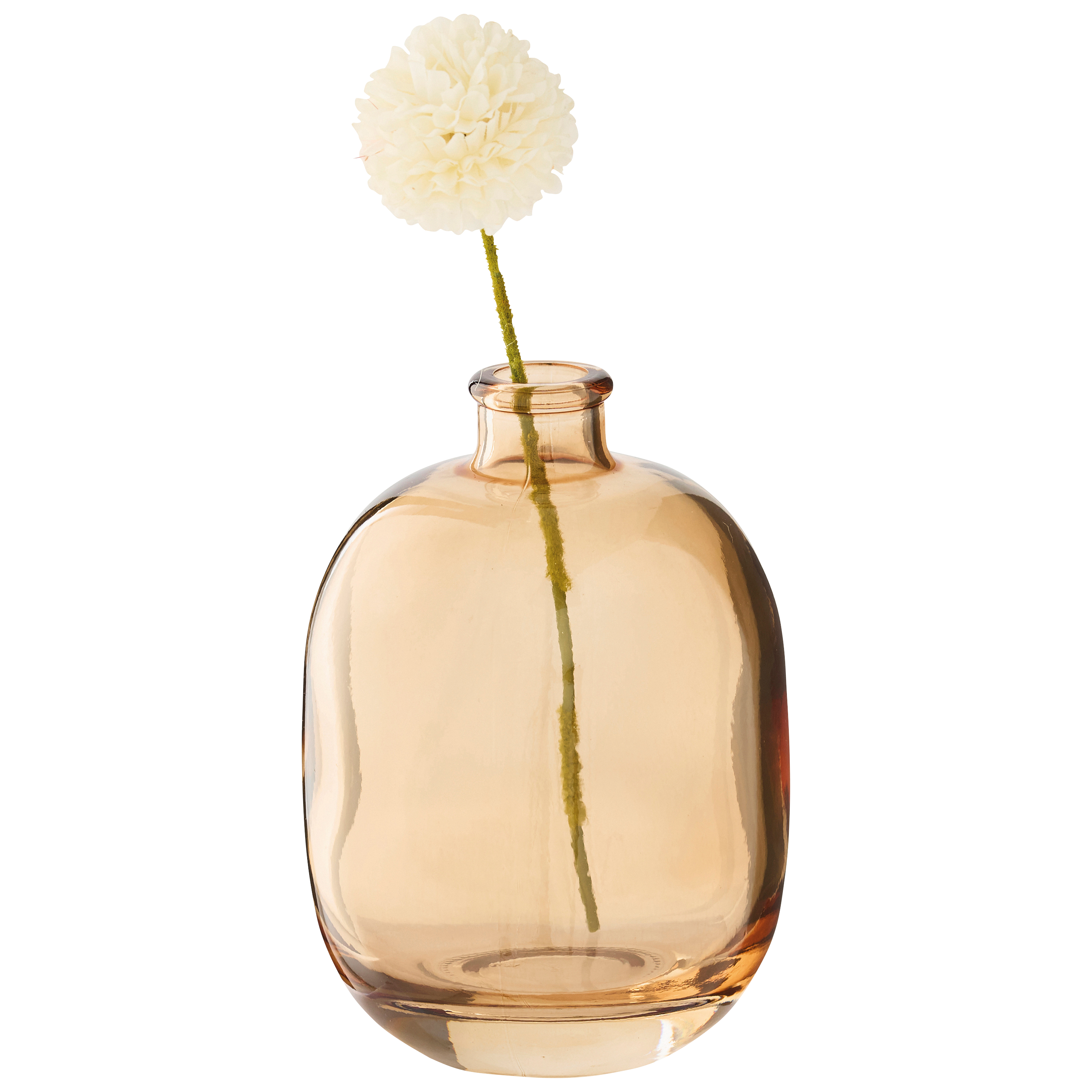 Ecloz - Soliflore transparent beige - ECLOZ - Imagen 4