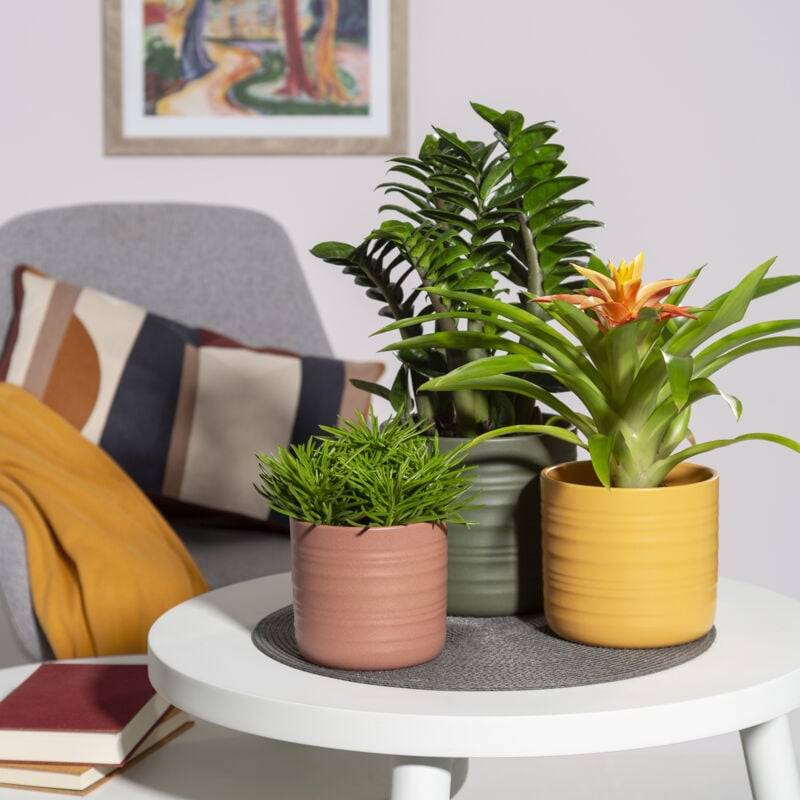 Pot de fleurs en céramique orange Ø16.6 cm H.15.3 cm 4.2L - Scheurich - Imagen 1