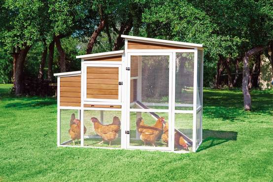 NONAME - Poulailler en bois Laurette 5 à 7 poules - Image 1