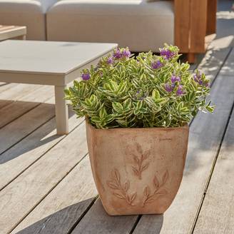 Ecloz - Pot "Amano" carré en terre cuite Galestro Ø 28 cm - ECLOZ