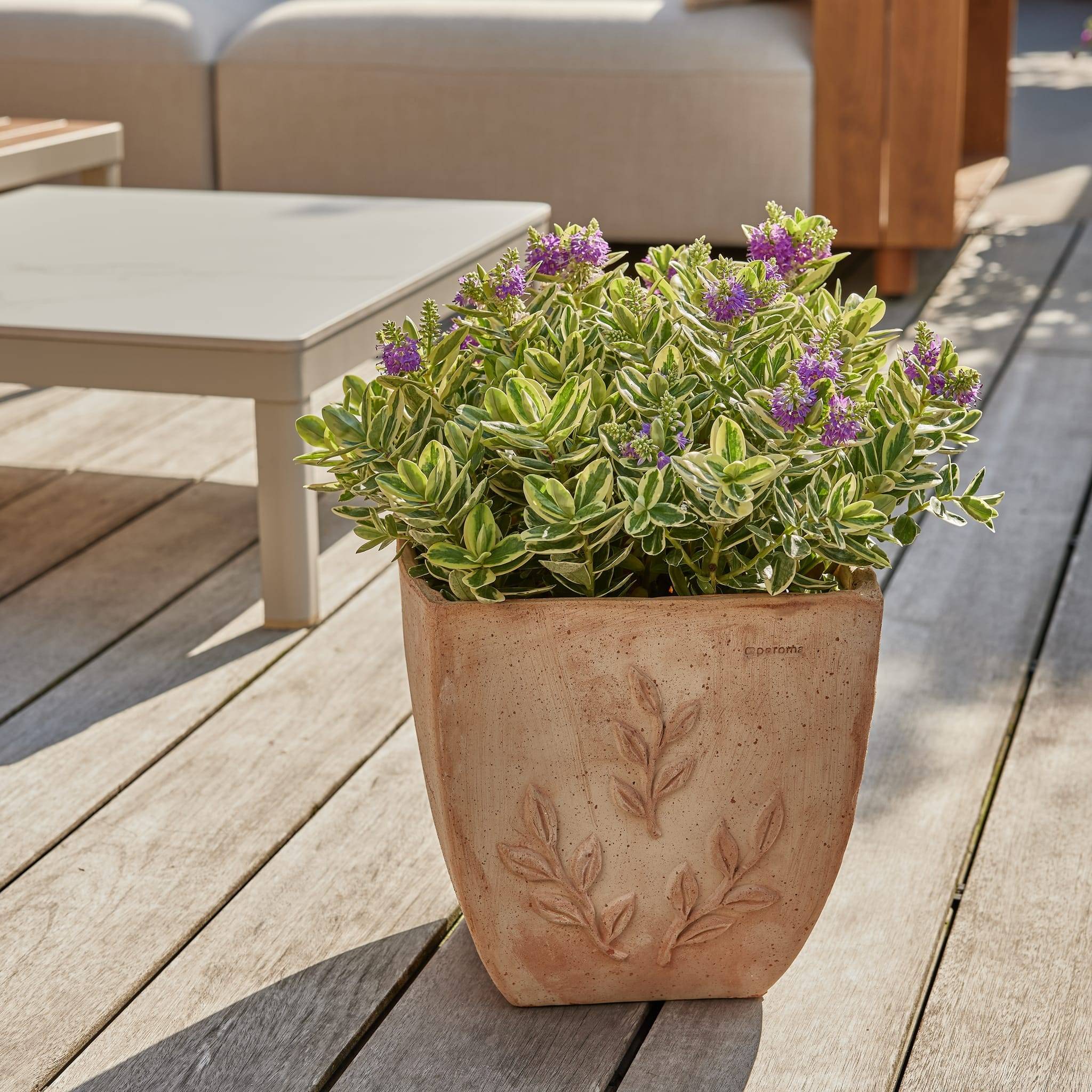 Ecloz - Pot "Amano" carré en terre cuite Galestro Ø 28 cm - ECLOZ - Imagen 1