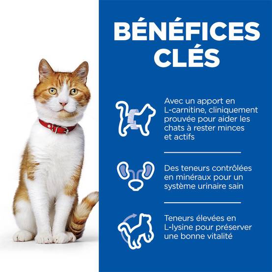 Science plan - Croquettes pour chat stérilisé au saumon 7kg - Hill's Science Plan - Image 4
