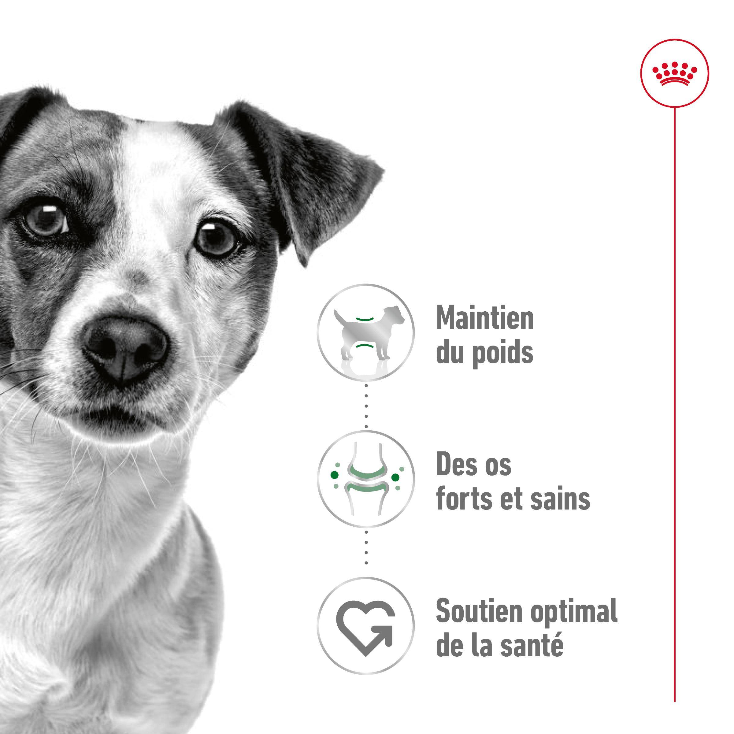 Royal Canin - Royal Canin - Mini Adult Can - 195 g - Image 3