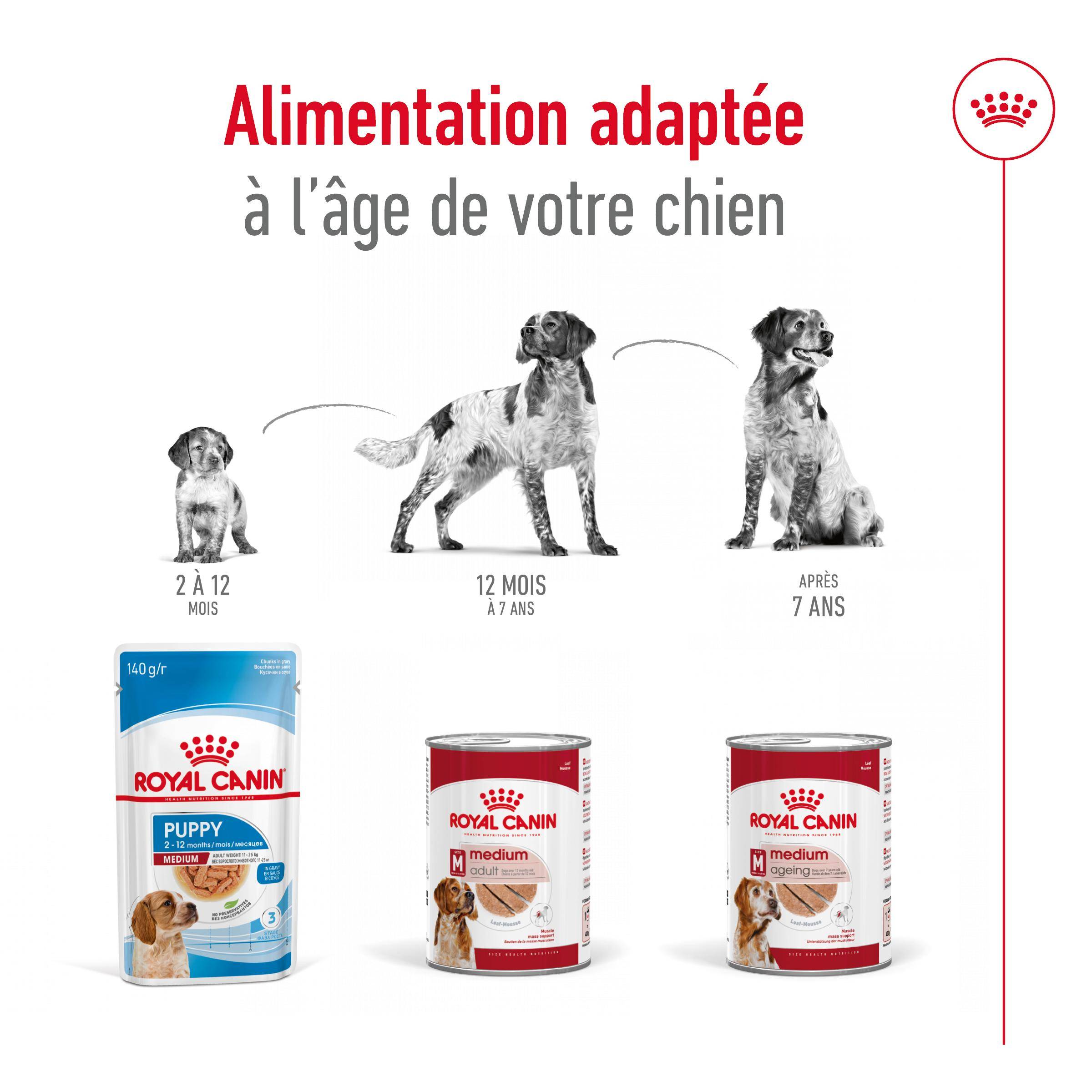 Royal Canin - Royal Canin - Medium Ageing 7+ Can - 410 g - Image 6