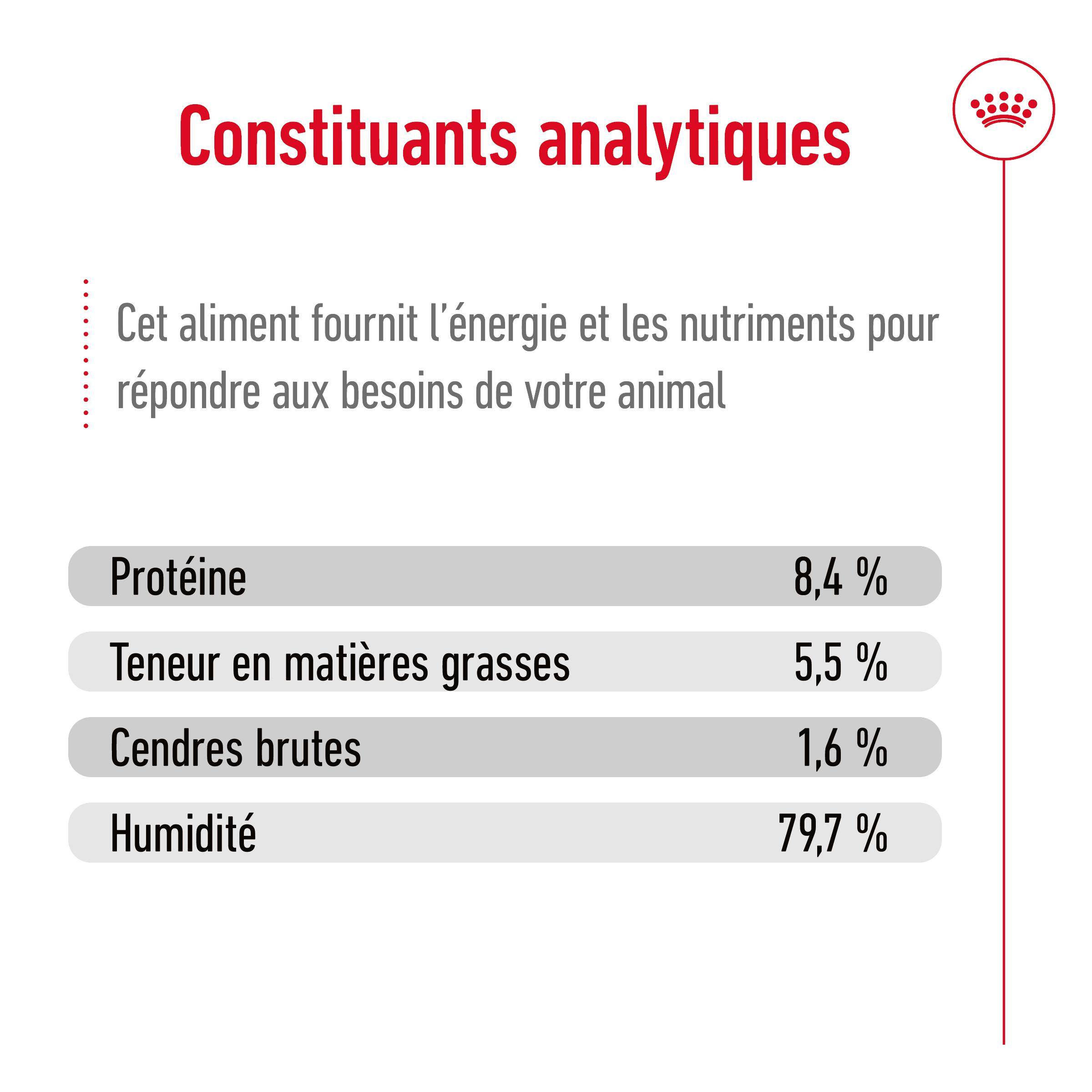 Royal Canin - Royal Canin - Medium Ageing 7+ Can - 410 g - Image 4