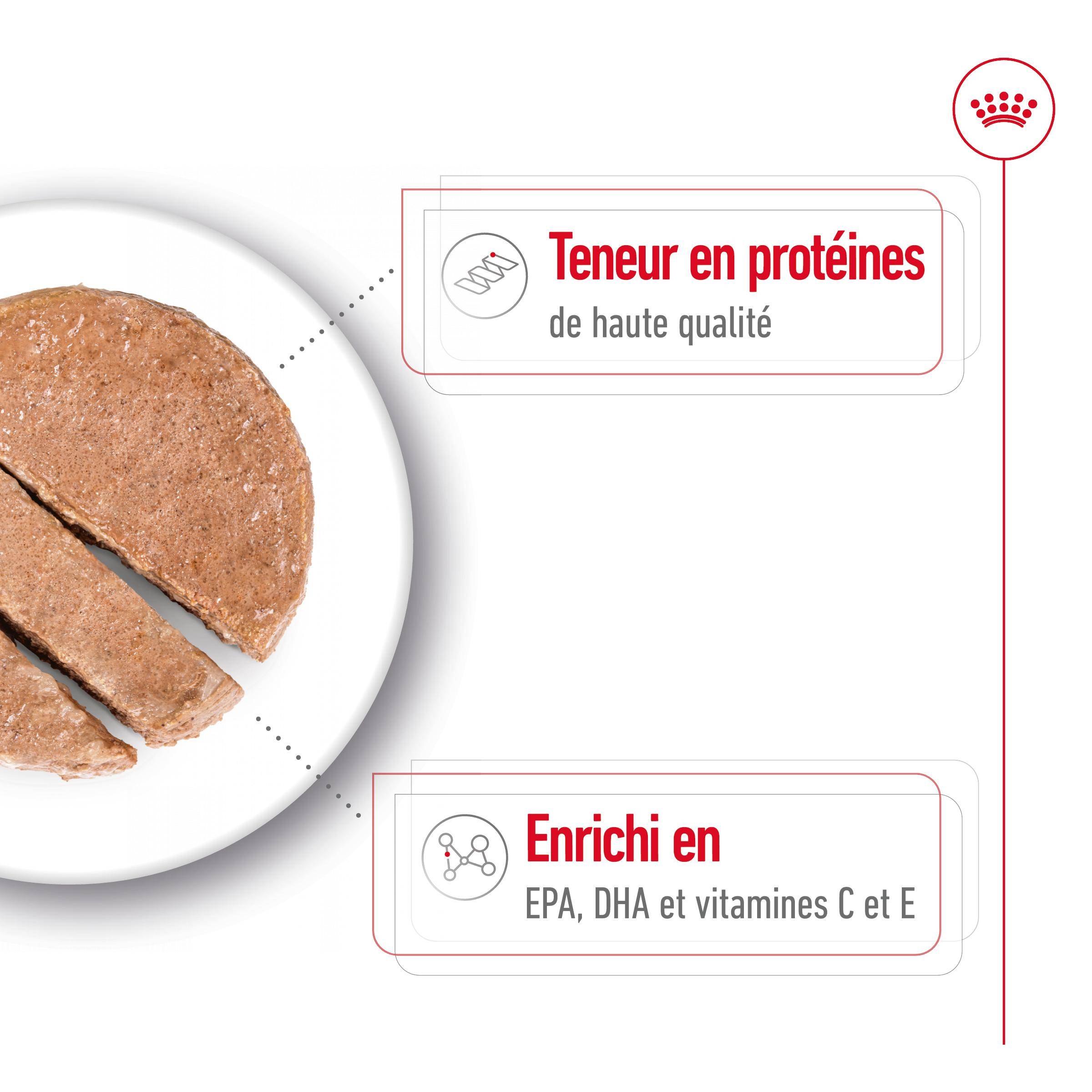Royal Canin - Royal Canin - Medium Ageing 7+ Can - 410 g - Image 7