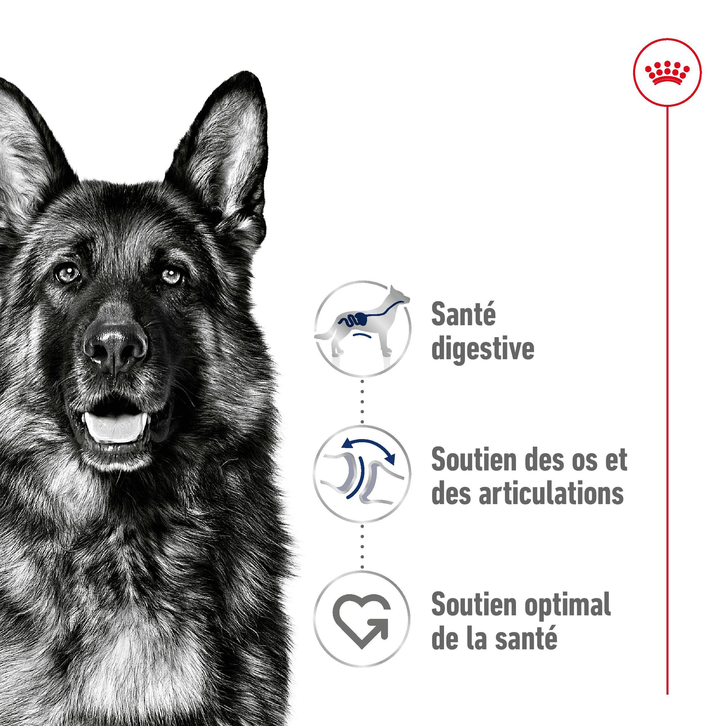 Royal Canin - Maxi Adult Can - 410 g - Image 7